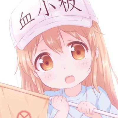 萨摩耶绝育后哭声响彻整个医院